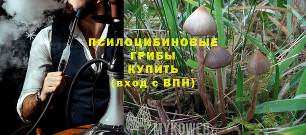 spice Абаза